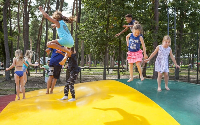 Oostappen Vakantiepark Arnhem Arnhem