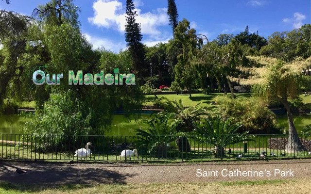 Premium Quiet Apt, Funchal Seafront | Oceanbreeze