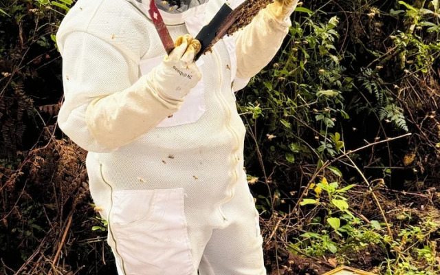 Te Popo Gardens Rural Retreat