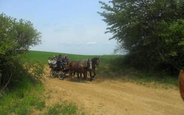 Gadányi Vendégház és Lovarda