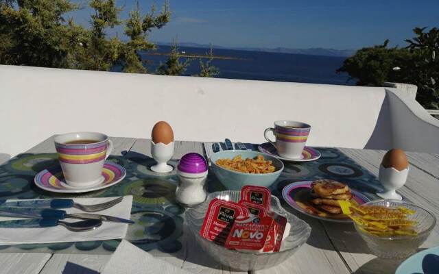 Artemis Villa near Athens airport