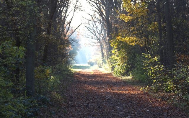 Hotel het Oude Raadhuis
