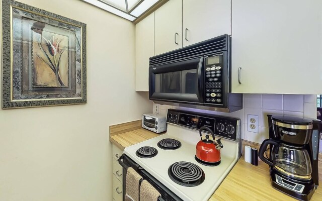 White Sands Near the Beach