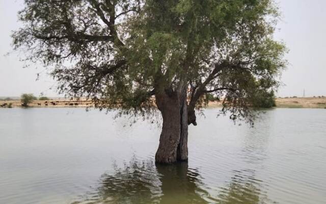 The Secret House - Adults Only