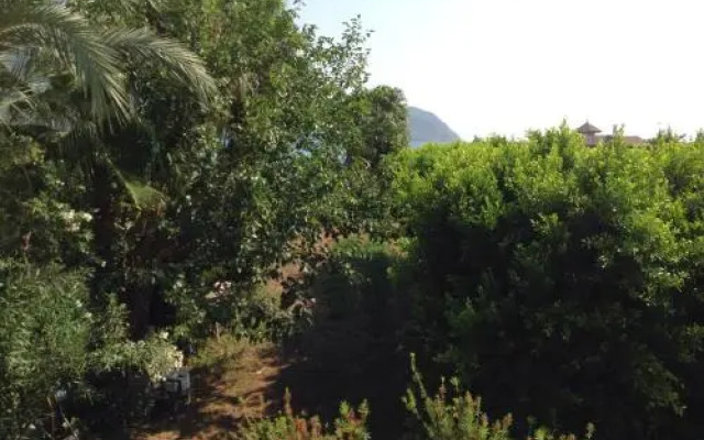 Öz Likya Pension