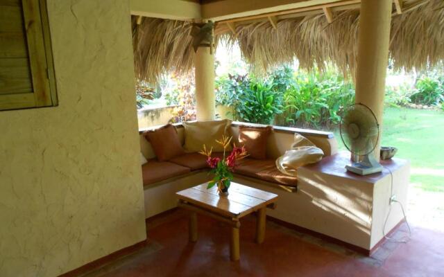 Palm-covered house in the tropical -Casa Oli