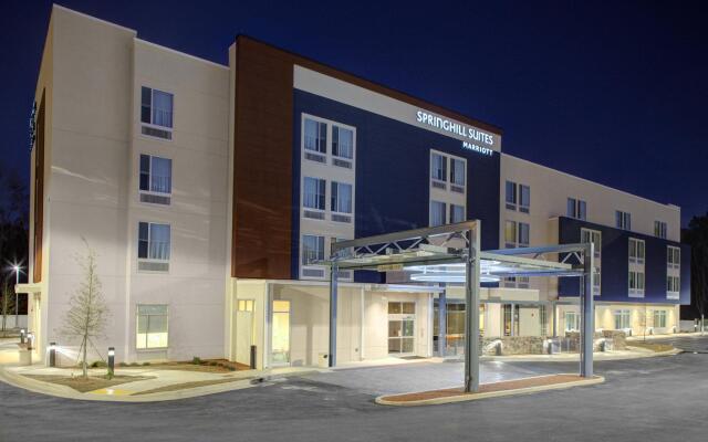 SpringHill Suites by Marriott Augusta