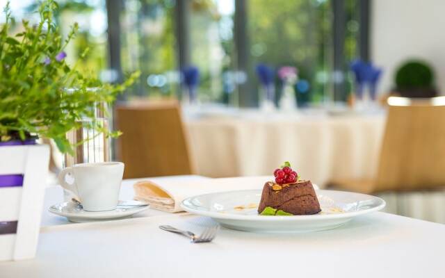 Park Hotel Asarel