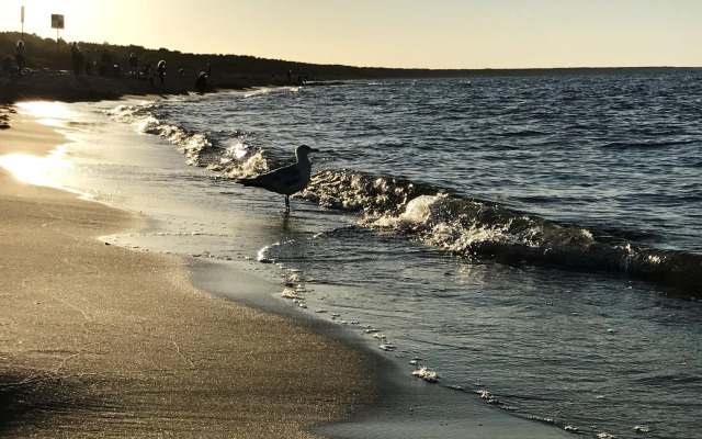 Apartment Strandidyll, Trassenheide