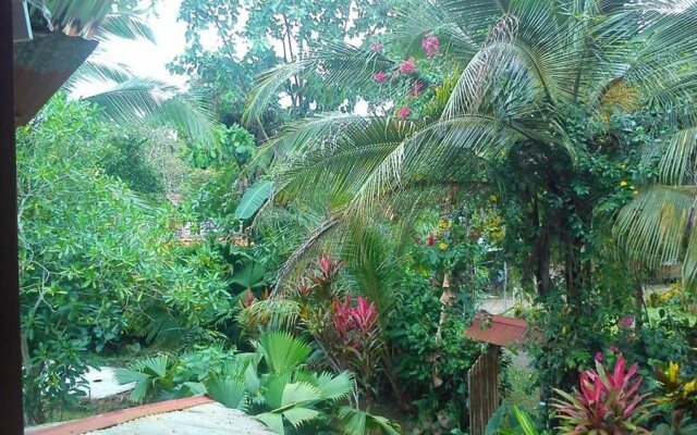 Vista Verde