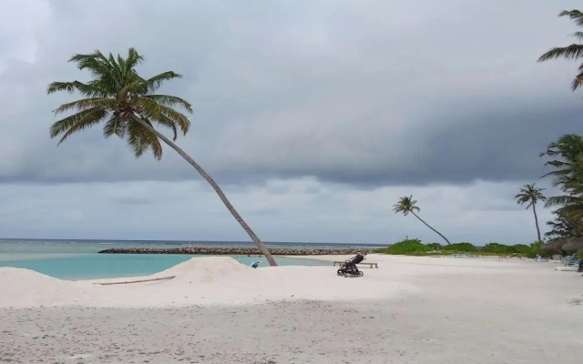 Sea Breeze View