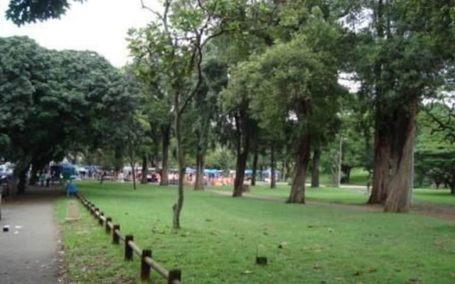 On the Park