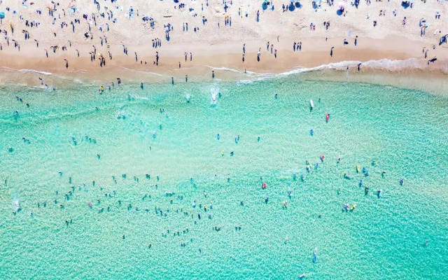 Peaceful 2 Bedroom With Private Backyard and BBQ