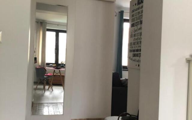 Vintage Apartment Suceava