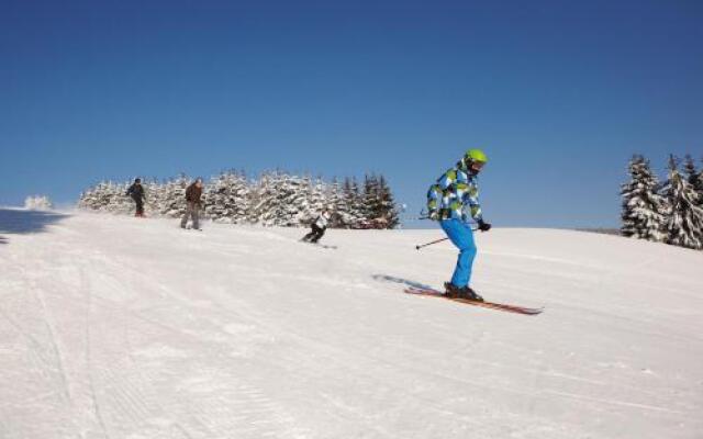 Das Nest Winterberg