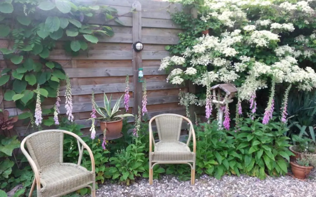 B & B De Pimpelmees