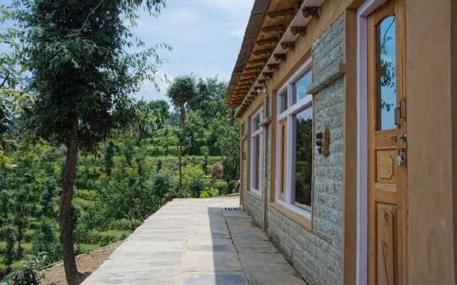 Shukun Homestay
