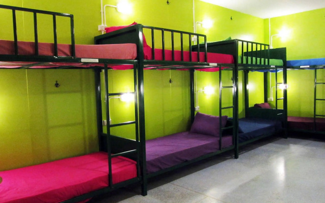 Treechart Hostel