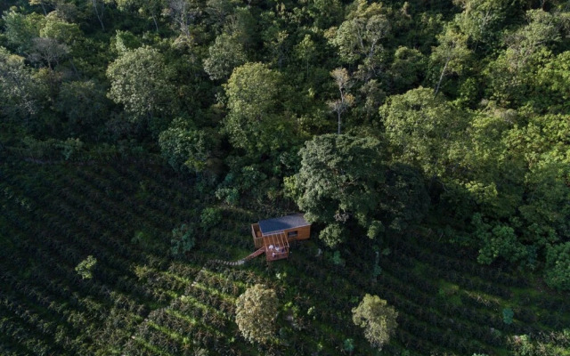 Coffee Adventures By La Palma y El Tucan
