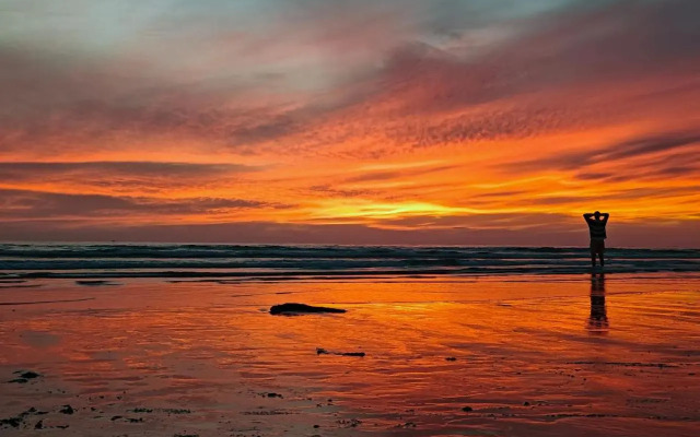 Surf & Travel Camp