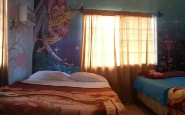 The Guaras Hostal - Hostel