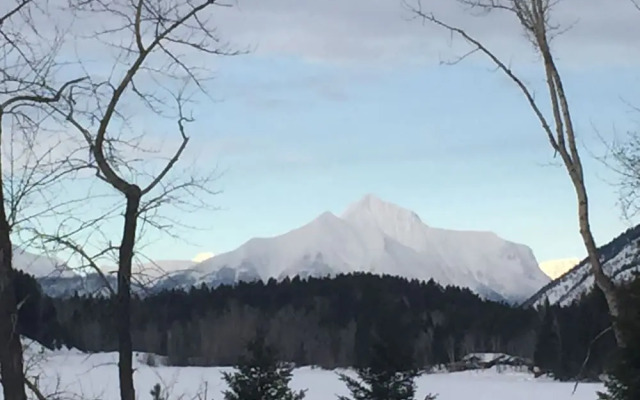 The Reclusive Moose Cabins