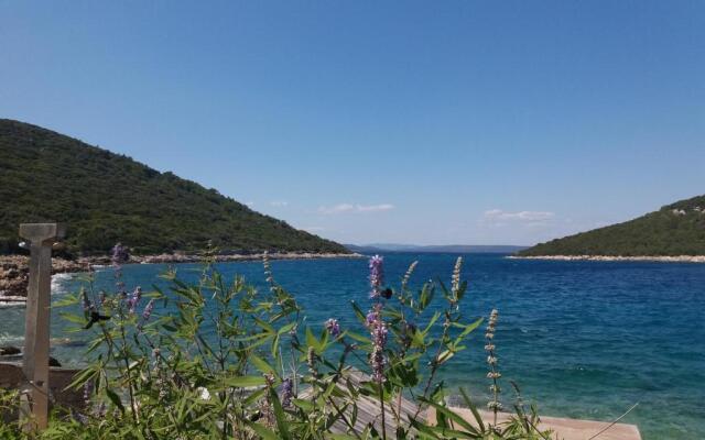 Apartment 4M Cunski