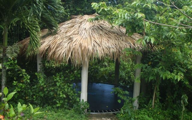 Jurassic Park Hotel