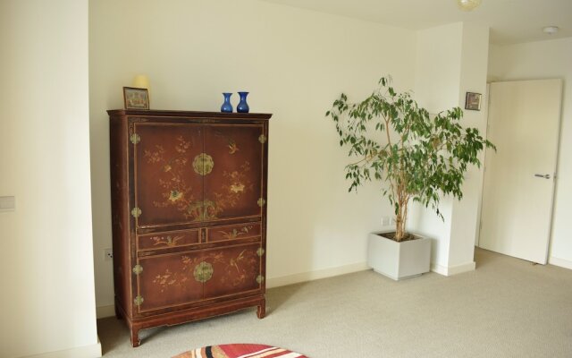1 Bedroom Apartment in Battersea With Roof Terrace