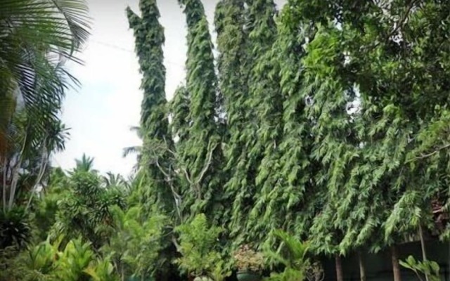 Villa Sunshine Hotel