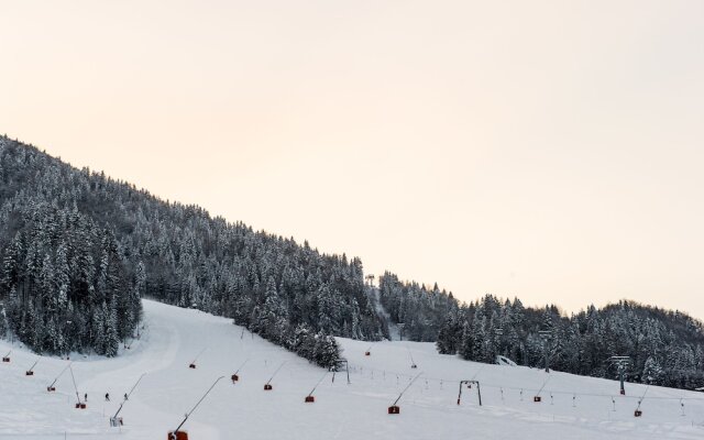 Boutique Skipass Hotel