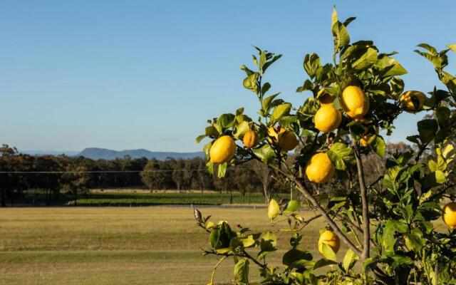 Brokenback Vineyard Cottage