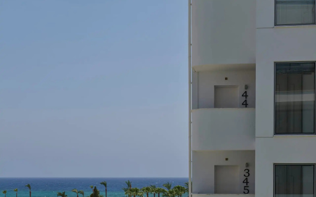 Atlantica Sancta Napa