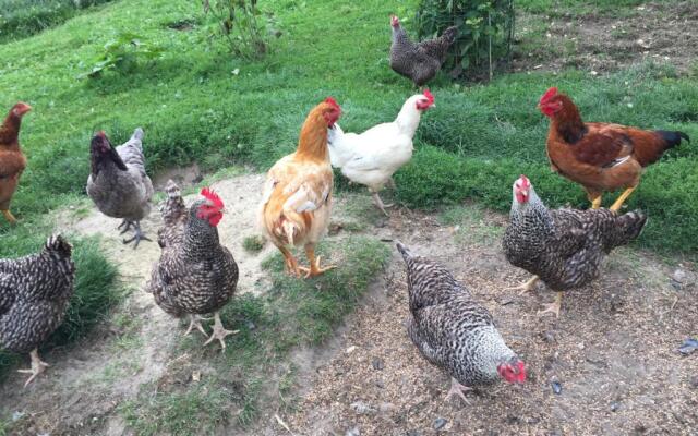 Les Galets
