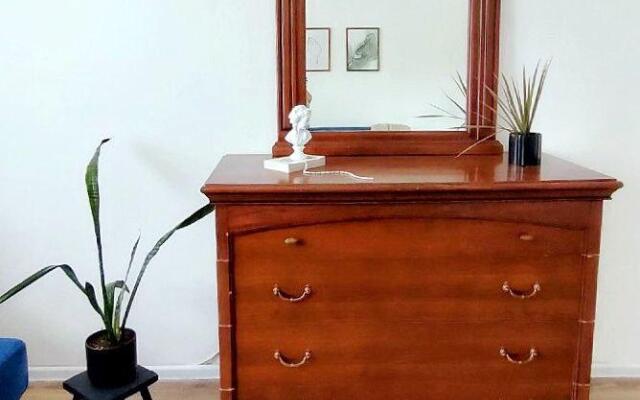 Солнечный эвкалипт на улице Крылова