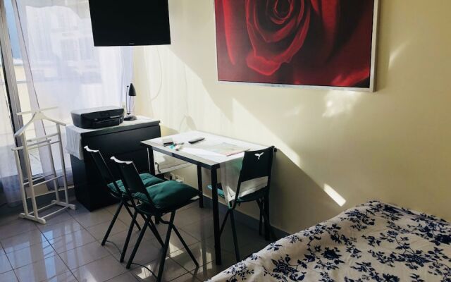 Furnished Flats in Central Paris