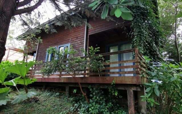 Cabaña Pudomo en Coñaripe con Hot-tub Exclusivo