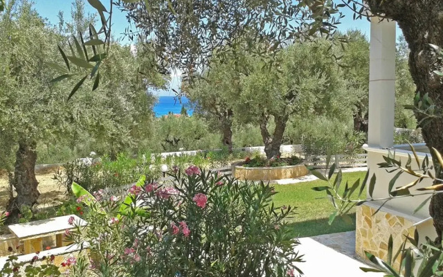 Zante Apartments Studios