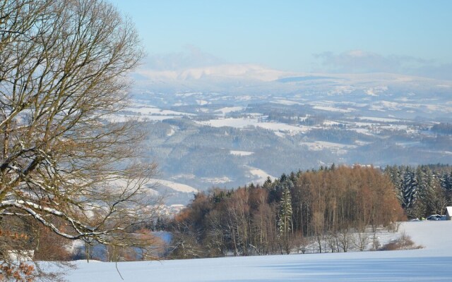 Modern Mansion in Bene ov u Semil With Pool