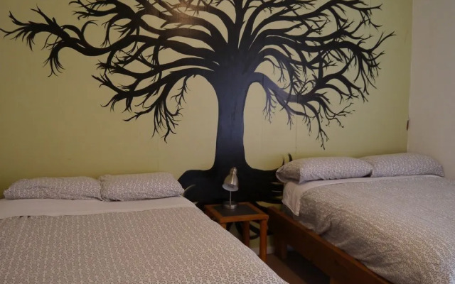 Tofino Travellers Guesthouse