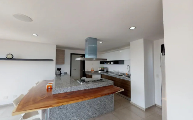 Luxury Penthouse in Chapultepec Guadalajara 17A