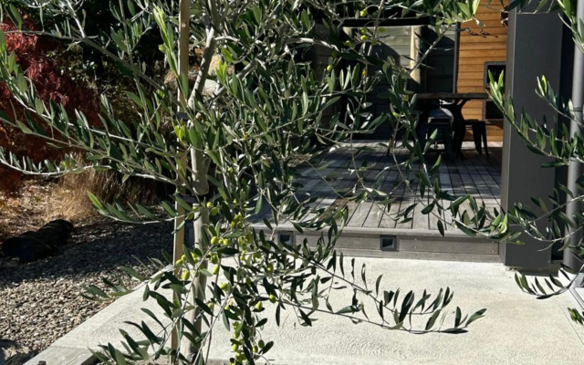 The Prospector on Miners