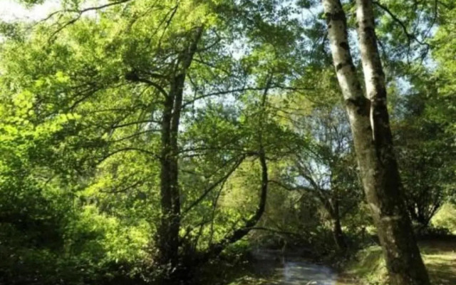 Gîte Saint-Calais-du-Désert, 4 pièces, 6 personnes - FR-1-600-161