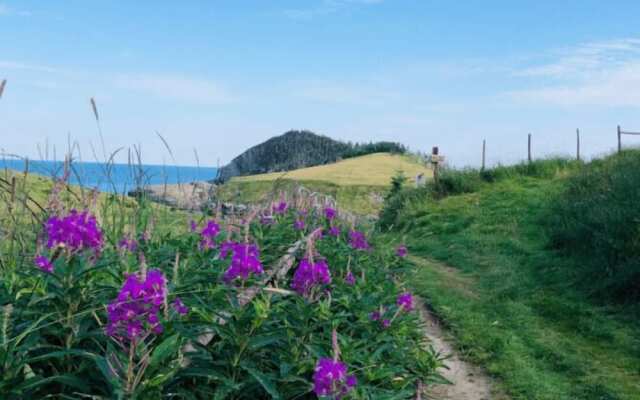 Whale House Guest House