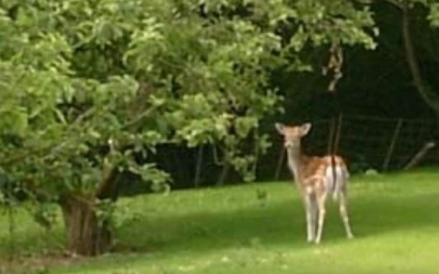 The Barn At Woodview