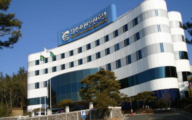 Gyeongju Chosun Spa Hotel