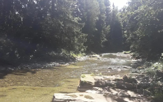 U Anastasii i Sofii bilya richki