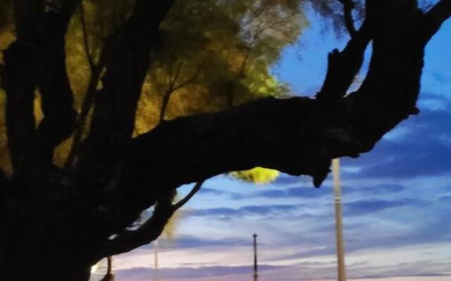 Confort et charme à 4km d'Arcachon centre