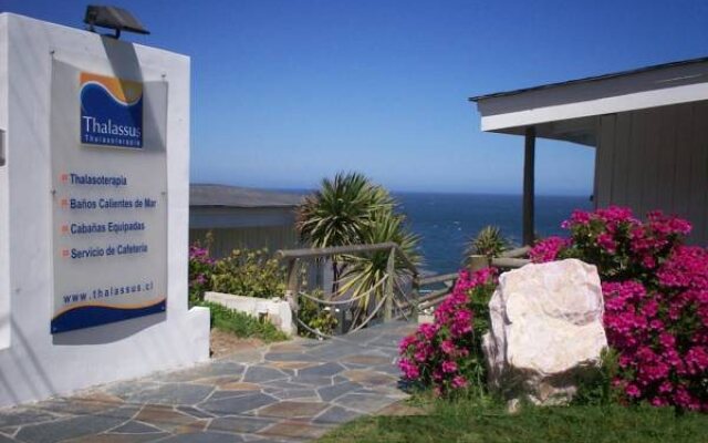 Thalassus