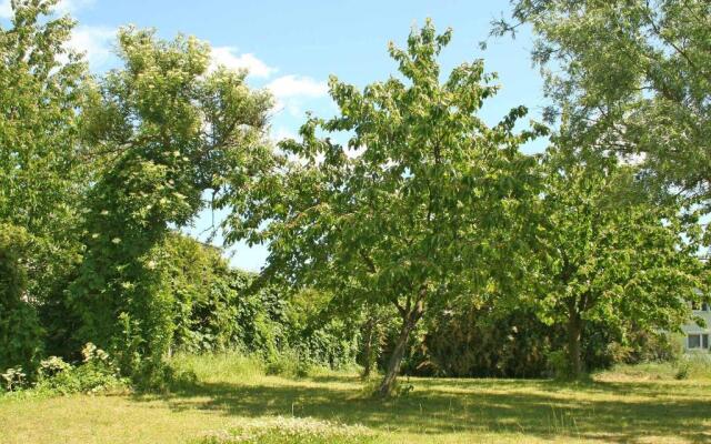 Ferienwohnungen Mirow SEE 10360